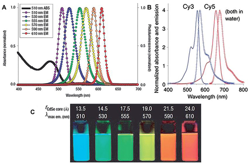 Figure 8 The emission of QDs when compared with organic dyes. (A) Absorption and emission spectrum of six different QDs. (B) Absorption and emission spectrum of two organic dyes, Cy3 and Cy5. (C) Comparison of fluorescence photo graphs of six QD in (A) with CdSe core sizes.