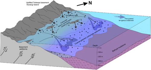 Figure 8. Conceptual depositional model of the northern Aorangi Island during the early Kapitean, showing the depositional setting of the Clay Creek Limestone and the partly conformable relationship with the Bells Creek Mudstone. Developed after Kamp et al. (Citation1988) and Caron et al. (Citation2004). View is looking northwest along the range front.
