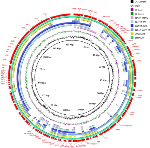 Figure 4 Circular genomic comparison of p1OXA77 with five other plasmids drawn by BRIG software. Different colors represent plasmids from different isolates. Black bars indicate genetic annotations, and blank represents the missing region compared with the reference genome.