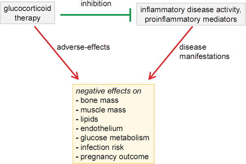 Figure 1. Glucocorticoids as well as inflammatory disease activity can have negative effects on bone mass, muscle mass, lipids, endothelium, glucose metabolism, infection risk, and pregnancy outcome. Since glucocorticoids are capable of effectively dampening the disease activity, the net effect of glucocorticoids is unclear. Reproduced from [Citation8].