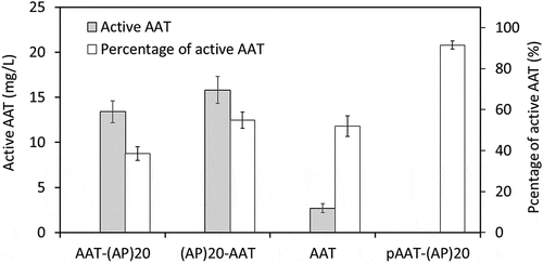 Figure 6. Biological activities of the recombinant AAT products secreted into BY-2 cell culture media. The medium samples harvested after 10-day of BY-2 cell culture as well as the purified AAT-(AP)20 fusion protein (pAAT-(AP)20) were assayed. The percentage of the active AAT accounting for the total AAT products in the samples was then calculated as: active AAT content/total AAT concentration×100%. The error bars represent the standard deviation of three top-expression cell lines for each gene construct (for the medium samples) or three parallel samples (for the pAAT-(AP)20 protein).