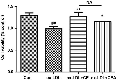 Figure 3. Protective effects of CE/CEA on ox-LDL induced HUVEC injury. Cell viability of HUVEC cells incubated with 1.25 μM concentration of CE/CEA for 8 h. Pretreatment with probe could significantly alleviate ox-LDL-induced cell damage. ##p < 0.01 versus control, **p < 0.01 versus ox-LDL, *p < 0.05 versus ox-LDL.