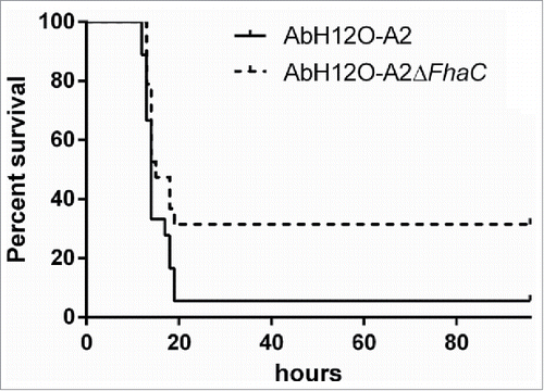 Figure 8. Survival of BALB/c mice following infection with 34 × 107 CFU of the AbH12O-A2 strain or 46 × 107 CFU of the AbH12O-A2ΔfhaC strain. Results were analyzed using the log rank test. P = 0.059.