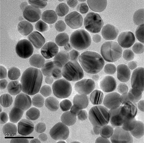 Figure 1 Transmission electron microscopy image of silver nanoparticles.