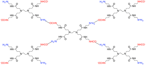 Figure 7. Schematic illustration of quasi-cross-linking of PAMAM with CO2.