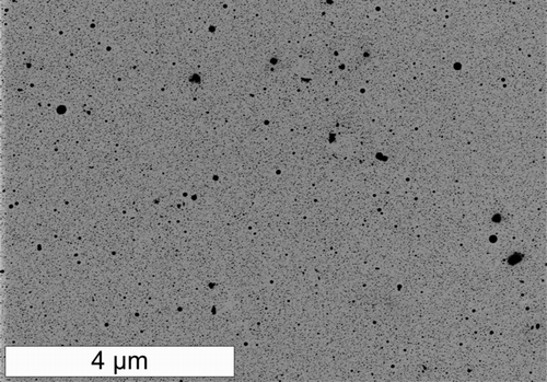 FIG. 2 Scanning transmission electron microscopy (STEM) image of copper particles produced from copper formate. Energy-dispersive x-ray spectroscopy showed that the particles were copper.