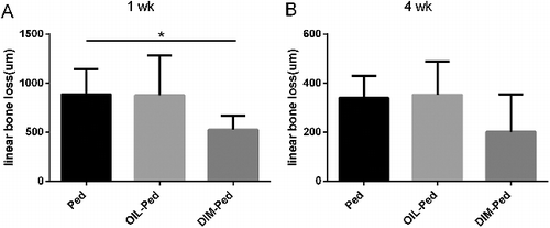 Figure 4. Linear bone loss of the ligature models at 1 (A) and 4 weeks (B).