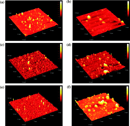 Figure 10. Tapping mode AFM images of polydiphenylamines and polytriphenylamines films on ITO slides: (a) p(BTFN), (b) p(TTN), (c) p(BFFN), (d) p(TFN), (e) p(BEFN) and (f) p(TEN); scan range: 20x20 μm.