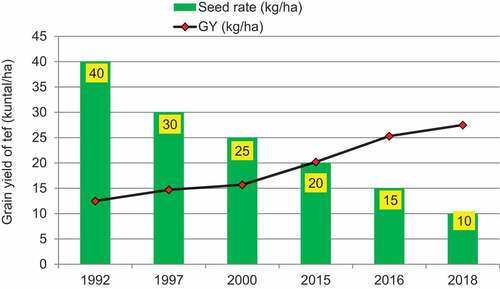 Figure 5. Tef seed rate recommendations in Ethiopia from 1992–2018: Source (Bogal et al. (Citation2018), B. Abebe and Abebe (Citation2016), Chanyalew et al. (Citation2015), Dereje et al. (Citation2018), Ketema (Citation1997), Lakew and Berhanu (Citation2019), and Tilahun (Citation1992).