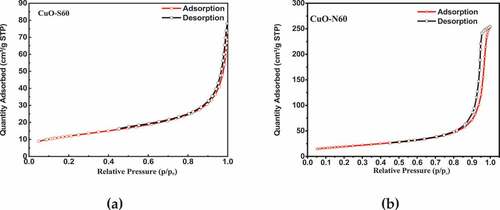 Figure 6. Nitrogen adsorption–desorption isotherms of (a) CuO-S60 and (b) CuO-N60