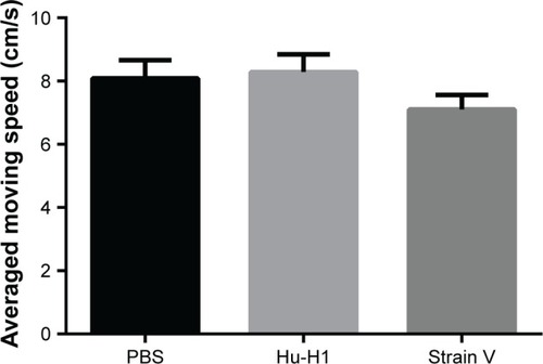 Figure 2 The average moving speed of three groups of rats in OFT.