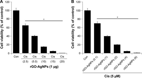 Figure 7 Increasing concentrations of Cis or rGO-AgNPs enhanced the loss of cell viability in HeLa cells.Notes: (A) HeLa cells were coincubated for 24 hours with increasing concentrations of Cis (2.5 to 20 μM) and) rGO-AgNPs (1 μg/mL), (B) increasing concentrations of rGO-AgNPs (0.1–6 μg/mL), and 5 μM Cis. Results are expressed as mean ± standard deviation of three separate experiments. The treated groups showed statistically significant differences from the Con group, as determined by Student’s t-test (*P<0.05).Abbreviations: Cis, cisplatin; rGO, reduced graphene oxide; NPs, nanoparticles; Con, control.