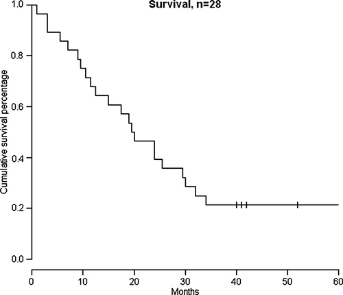 Figure 2.  Kaplan-Meier survival curve, until November 2008, n = 28. Median overall survival was 19.5 months. Totally five patients were still alive. Three of these received second-line treatment with targeted drugs. Censored patients are shown by vertical tick marks.