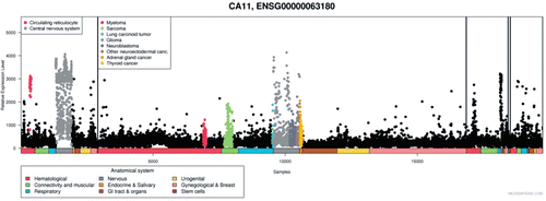 Figure 12.  Expression of CA11 gene in normal and pathological conditions in human: Microarray data of the mRNA expression levels of human genes in normal and pathological tissues from MediSapiens. (http://www.medisapiens.com, accessed February 2012)Citation21.