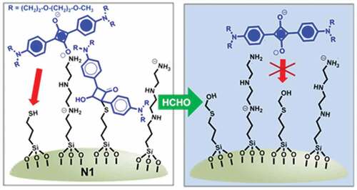 Figure 8. The sensing mechanism of FA using Probe 19. Reused with permission from ref [Citation81]. Copyright 2016 American Chemical Society.