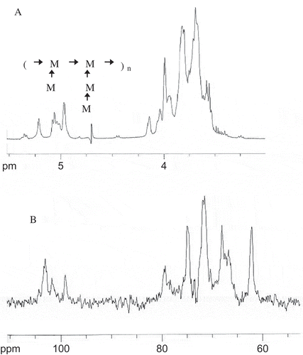 FIGURE 3 (A) 1H NMR spectra of S. cerviseae mannoprotein. (B) 13C NMR spectra of S. cerviseae mannoprotein.