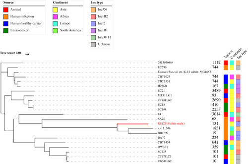 Figure 1 Phylogeny of MCR-1.1-producing isolates from various sources, including E. coli RS1231S. The tree was constructed by CSIPhylogeny based on draft genome for each isolate based on Escherichia coli str. K-12 substr. MG1655. The tree was visualized using iTOL. The source, continent and plasmid Inc type for each isolate were shown on the right of the tree by colored squares. The E. coli RS1231S isolate found in this study was shown as red text and marked with red line. The Inc type in the figure showed the Inc type of mcr-1.1-harboring plasmid.