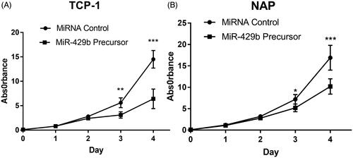 Figure 2. Overexpression of miR-429 inhibits thyroid cancer cell proliferation. (A) The growth curve of TCP cells after miR-429 precursor transfection compared to miRNA control. (A) The growth curve of NPA cells after miR-429 precursor transfection compared to miRNA control. *p < .05, p < .01 and p < .001.