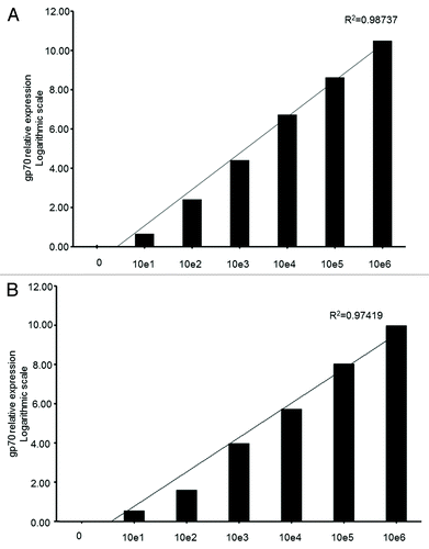 Figure 3. Sensitivity of the qPCR-based detection of gp70-coding transcripts from limiting amounts of cancer cells in total lung extracts. (A and B) Various numbers (100, 101, 10Citation2, 103, 104, 105, and 106) of murine colon carcinoma CT26 (A) or metastatic osteosarcoma K7M2 (B) cells were added to homogenized mouse lung tissue. Following reverse transcription, the gp70–1 primer pair (see also Figure 1) was used for quantitative reverse-transcriptase PCR (qPCR) assays. gp70 mRNA levels were then quantified by and the 2−ΔΔCt method using the cytochrome c1 (Cyc1) as housekeeping gene for normalization. Relative gp70 mRNA levels are plotted on the Y-axis in logarithmic scale. The coefficient of determination, R2, was > 0.97 in both cases.