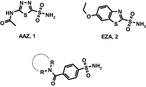 Figure 1. Chemical structures of well-known CAIs acetazolamide (AAZ, 1) and ethoxzolamide (EZA, 2) and designed 4-(cycloalkyl)-1-carbonylbenzenesulfonamides.