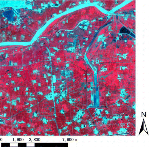 Figure 2.  Landsat TM pseudo-color composition image (RGB 4, 3, 2) of the study area acquired on 28 August 1999.