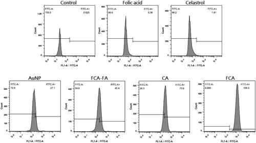 Figure 18. Flow cytometry quantitative analysis for control group, folic acid treatment group, celastrol treatment group, gold nanoparticle (AuNP) treatment group, folate receptor targeted celastrol AuNP and folic acid (FCA-FA) treatment group, celastrol AuNP (CA) treatment group and folate receptor targeted celastrol AuNP (FCA) treatment group.