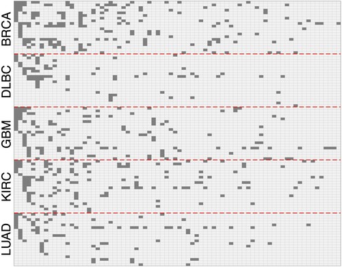 Figure 3. The inferred binary feature matrix Z^ for the TCGA RPPA dataset. The dataset consists of 100 patients, with 20 patients for each of the 5 cancer type, BRCA, DLBC, GBM, KIRC and LUAD. A shaded gray rectangle indicates the corresponding patient j possesses feature k, i.e., the corresponding matrix element Z^jk=1. The columns are in descending order of the number of objects possessing each feature. The rows are reordered for better display.