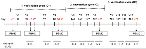 Figure 1. Study design. Vaccinations (V) consisted of three cycles (C1–C3) of four monthly subcutaneous (s.c.) injections of 0.5 mg of NY-ESO-179–108 long peptide. HLA-A2+ patients were also vaccinated with 0.1 mg of Melan-A26–35 native peptide and 20 μg of Mage-A10254–262 peptide in the first cycle, followed by 0.1 mg Melan-A26–35(A27L) analog peptide and 0.1 mg of Mage-A10254–262 peptide in the following cycles. In addition, Group B patients were treated with low dose rh-IL-2. Peptides for HLA-A2+ patients were emulsified in 1 mL Montanide® ISA-51 and 2 mg CpG-7909/PF-3512676, peptides for HLA-A2− patients were emulsified in 0.5 mL Montanide® ISA-51 and 1 mg CpG-7909/PF-3512676. The three vaccines of the cycle 3 were formulated without Montanide. Blood samples were withdrawn and PBMC were prepared at baseline (100 mL), after two vaccinations (two samples at 7 d interval: 30 and 100 mL) and after four vaccinations (two samples at 7 d interval: 30 and 100 mL) for the assessment of immune responses.