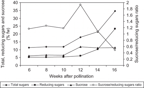 FIGURE 3 Changes in total and reducing sugars and sucrose concentration and sucrose/reducing sugars ratio of ‘Lonet-Mesaed’ date palm fruit during development and ripening. Data are the means of the 2009 and 2010 seasons. LSD at 5% for time effect is 0.126, 0.056, 0.137, and 0.019 for total and reducing sugars and sucrose concentration and sucrose/reducing sugars ratio, respectively.