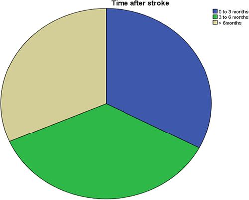 Figure 1 Time after stroke.