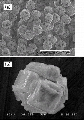 FIG. 9. Example SEM images of NaCl particles generated by the AIST-IAG. The mass concentration of NaCl were (a) 108 mg/L and (b) 1.00 × 104 mg/L, respectively.
