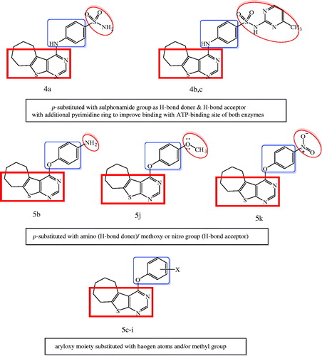 Figure 2. Design strategy of the targeted thieno[2,3-d]pyrimidines derivatives as dual EGFR and VEGFR-2 inhibitors.