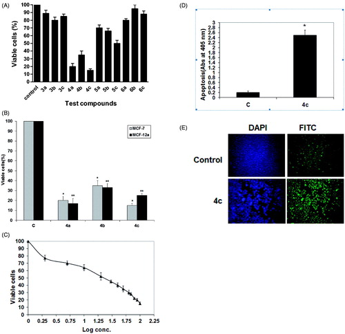 Figure 2. Thiosemicarbazides reduced cell viability and induced apoptosis in human MCF-7 breast cancer cells. (A) MCF-7 cells were treated with 100 µM of test compounds for 24 h. Cells without test compounds were used as controls. *p < 0.05 as compared to the mock-treated controls using unpaired Student t test. The bars represent the mean ± SD (n = 3). (B) MCF-7 and MCF-12a were treated with 100 µM of compounds 4a–c for 24 h. Untreated cells were used as controls. Each data point was an average of results from three independent experiments performed in triplicate and presented as mean ± SD (n = 3). Significant differences between the control and 4c are indicated by *(***p < 0.05). (C) Dose–response curve for compound 4c. A dose–response curve for 4c was constructed, and IC50 was determined to be 20 µM. Each data point was an average of results from three independent experiments performed in triplicate and presented as mean ± SD. (D) MCF-7 cells were treated with 20 µM of compound 4c for 24 h. Untreated cells were used as control (C). ELISA assay was applied for apoptotic cell detection. The bars represent the mean ± SD (n = 3). Significant differences between the control and 4c are indicated by *(*p < 0.05). (E) TUNEL staining of MCF-7 cells after exposure to compound 4c at a concentration of 20 µM for 24 h. Stained cells represent TUNEL positive cells, and the control cells (C) act as control for the staining procedure.