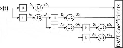 Figure 2. Wavelet transform decomposition at different levels.