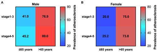 Figure 5 Prevalence of atherosclerosis by age and CKD stages in males and females. (A) stratified by age and CKD stages in male patients, (B) stratified by age and CKD stages in female patients, prevalence is colored in a 0–100% blue to red scale.