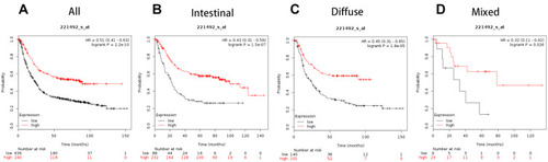 Figure 1 The prognostic significance of ATG3 expression in gastric cancer. The prognostic value of autophagy-related protein 3 expression in www.kmplot.com. Affymetrix ID for ATG3 is 221492_s_at, overall survival curves were plotted for all patients (A), and for those with intestinal type (B), diffuse type (C), and mixed type cancers (D).