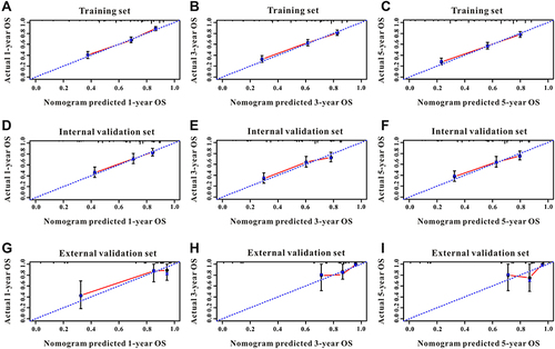 Figure 4 The calibration curves for predicting OS in PsI-DLBCL patients. (A–C) Calibration plots of 1-year, 3-year and 5-year mortality in training cohort; (D–F) calibration plots of 1-year, 3-year and 5-year mortality in internal validation cohort; (G–I) calibration plots of 1-year, 3-year and 5-year mortality in external validation cohort. Nomogram-predicted probabilities of OS were plotted on the x-axis, actual observed outcomes were plotted on the y-axis.