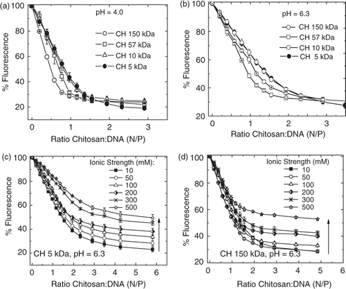 Figure 6. (a–d) Titration of ct-DNA–EtBr solution by deacetylated chitosan at different pH values (a, b) and different ionic strength in phosphate buffer pH 6.3 (c, d). The fluorescence intensity relative to the fluorescence of ct-DNA–EtBr in the absence of polycation is plotted as a function of nitrogen/phosphate (N/P) ratio. Data points represent the mean (SD of two samples, with at least three readings of each). (a, b) Molecular effect of chitosan on ct-DNA–EtBr fluorescence and the following buffers were used: (a) HAc/NaAc pH 4.0 and (b) phosphate pH 6.3, ionic strength 10 mM. (c, d) Ionic strength effect on the chitosan–DNA interaction (c) CH 5 kDa and (d) CH 150 kDa and ct-DNA–EtBr.