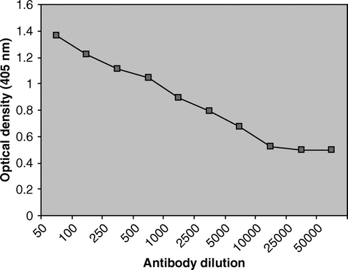 Figure 3.  Determination of optimum antibody dilution by indirect ELISA using anti-teliospore antibodies.