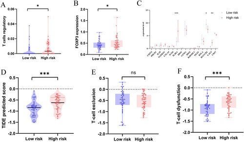 Figure 6. (A) Difference in Treg infiltration level between high-risk and low-risk groups. (B) Different expression level of the Treg surface marker FOXP3. (C) Expression of immune checkpoint molecules in high-risk and low-risk groups. (D) TIDE prediction score for high-risk and low-risk groups. (E) T-cell exclusion prediction score. (F) T-cell dysfunction prediction score. (*P < 0.05; **P < 0.01; P < 0.001; ns, no significance).
