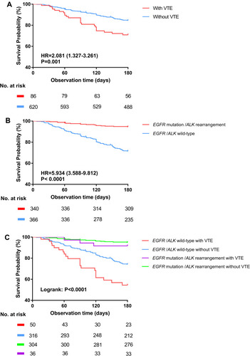 Figure 2 The hazard analysis of early mortality. (A) Patients with occurrence of VTE showed significantly associated with early mortality. (B) Patients with EGFR mutation /ALK rearrangement showed a significant protective effect for early mortality. (C) Early mortality among the driver oncogene groups with different VTE status differed significantly using log-rank test (P < 0.0001).