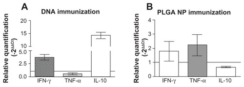 Figure 6 Cytokine expression at the ear dermis following a live challenge with parasites. BALB/c mice were immunized with pcDNA3-KMP-11 (A) or with pcDNA3-KMP-11- loaded nanoparticles followed by recombinant KMP-11-loaded nanoparticles + CpG (B).Notes: Two weeks after the last immunization, the mice were infected with Leishmania braziliensis + salivary gland sonicate. Relative quantification of IFN-γ, TNF-α, and IL-10 at the infection site was determined 5 weeks after infection, in relation to a housekeeping gene, by real-time polymerase chain reaction (see materials and methods section). Data (mean ± standard error) are presented as the fold increase in gene expression of immunized mice over control mice and are from two independent experiments.Abbreviations: KMP-11, kinetoplastid membrane protein-11; PLGA, poly(lactic-co-glycolic acid); NP, nanoparticles: IFN-γ, interferon gamma; TNF-α, tumor necrosis factor alpha; IL-10, interleukin-10.