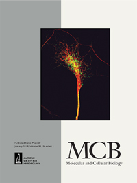 Cover image for Molecular and Cellular Biology, Volume 39, Issue 1, 2019