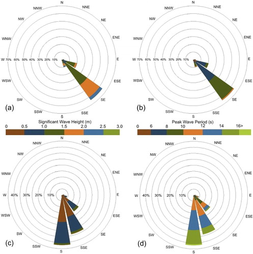 Figure 7. Roses of significant wave height and peak period, representing the energy of wind seas (a and b) and swell (c and d) for the entire dataset.