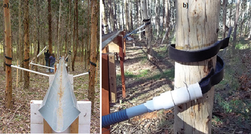 Figura 2. (a) Canaletas para recolección de Pd en la parcela LTg (año 2007); (b) Collarines de goma para recolección de Pf en la parcela DTg (año 2011).