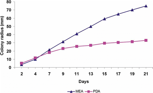 Figure 7. Growth rates of Neonothopanus nambi (BIN 2379) on MEA and PDA.