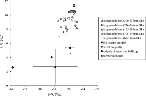 Figure 3. δ13C and δ15N values of largemouth bass and their potential food items collected from the farm pond.