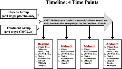 Figure 2 Schema describing the longitudinal protocol.