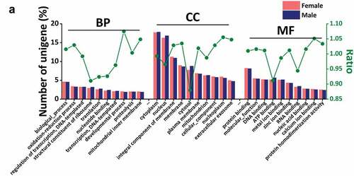 Figure 4. Gene Ontology (GO) analysis. (a)The top ten results of three GO terms: biological process (BP), cell composition (CC) and molecular function (MF). The abscissa is the annotated terms. The main ordinate corresponds to the histogram that indicates the ratio of unigenes in each term to the total unigenes identified, while the sub-ordinate represents the value of ratio folds in female vs. male. The word “ratio” means the ratio of proportion of annotated unigenes in female scorpions to the proportion of annotated unigenes in male scorpions in a certain term.