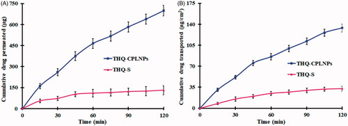Figure 5. Thymoquinone suspension (THQ-S) and optimized thymoquinone chitosan-polycaprolactone nanoparticles (THQ-CPLNPs). (A) THQ permeated, (B) THQ transported.